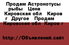 Продам Астронотусы рыбы › Цена ­ 1 300 - Кировская обл., Киров г. Другое » Продам   . Кировская обл.,Киров г.